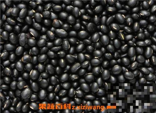 黑眉豆的功效与作用 吃黑眉豆的好处