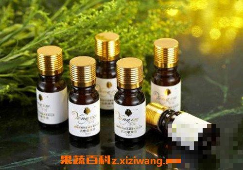 玫瑰籽油的功效与作用 玫瑰籽油使用方法