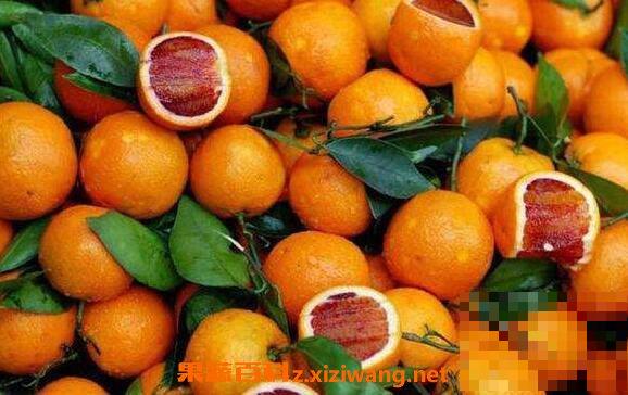 血橙的功效与作用 血橙的禁忌
