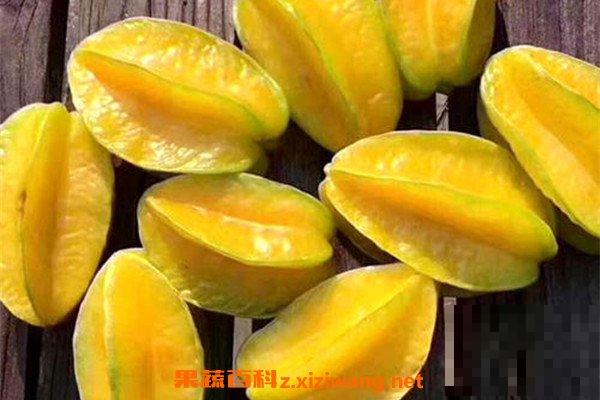 酸杨桃水怎么腌制 酸杨桃水腌制方法教程