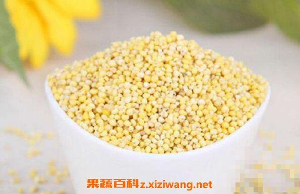 稷米怎么吃 稷米的食用方法