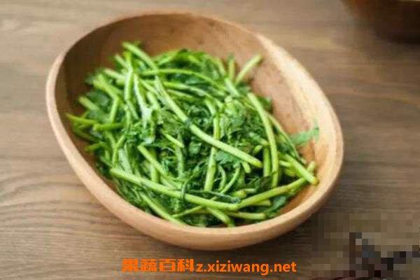 茼蒿怎么吃 茼蒿的做法教程