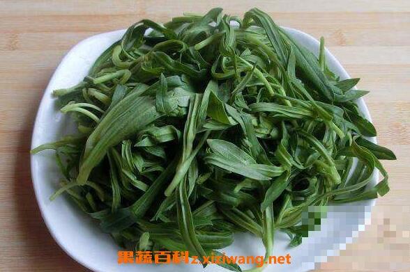 面条菜的功效与作用 面条菜的禁忌