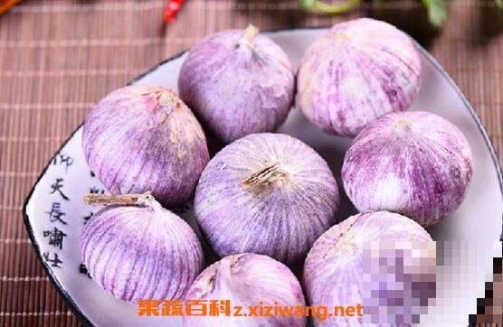 紫皮大蒜的功效与作用 吃紫皮大蒜的好处