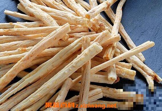 沙参肉竹的功效与作用 沙参肉竹的药用价值
