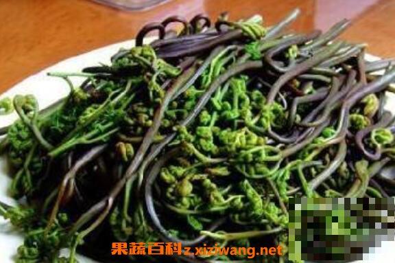 山蕨菜怎么做好吃 山蕨菜的食用方法