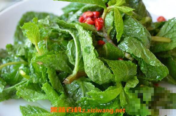 荆芥怎么吃 荆芥的吃法大全