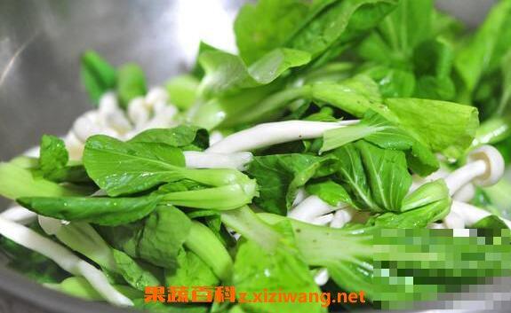 金鸡毛菜怎么吃 金鸡毛菜的食用方法