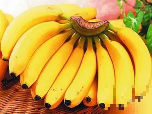 芭蕉和香蕉的区别 芭蕉和香蕉哪个好