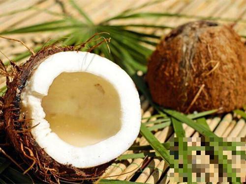 椰子怎么打开 椰子的吃法技巧教程