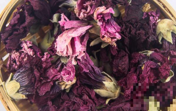 紫罗兰花茶的功效与作用 紫罗兰花茶的禁忌