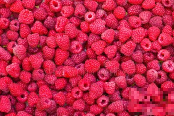 三锦莓的功效与作用 三锦梅是什么水果