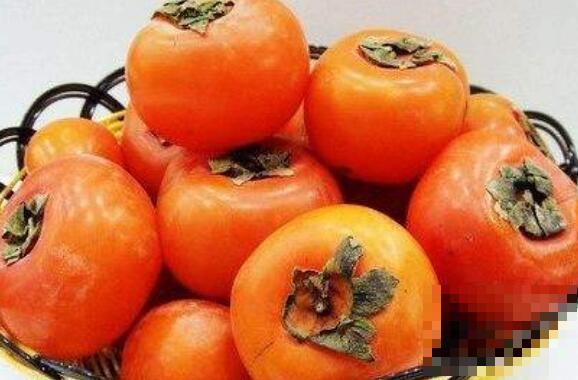 甜柿子的功效和作用 吃甜柿子的好处有哪些