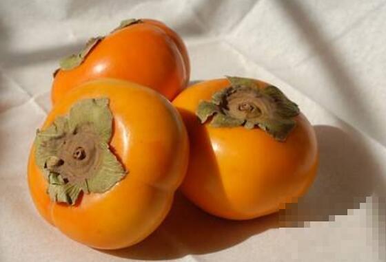 蒸柿子的功效与作用 吃蒸柿子的好处有哪些