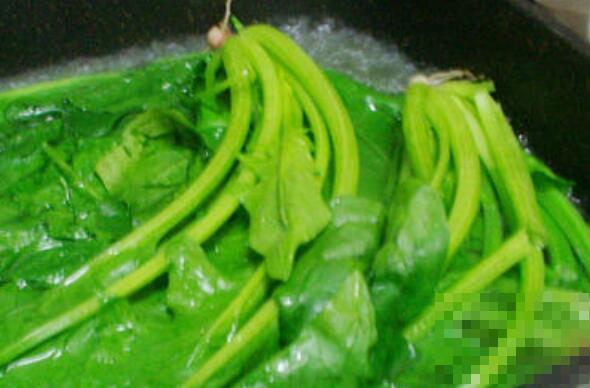 水煮菠菜的功效与作用 水煮菠菜有什么好处