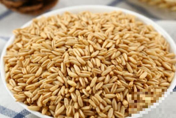 燕麦的功效与作用 吃燕麦的好处有哪些