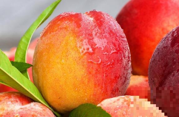 水蜜桃和毛桃的区别 吃水蜜桃的好处
