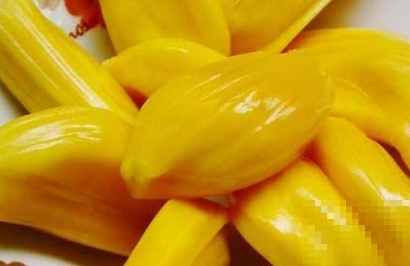 菠萝蜜的吃法 吃菠萝蜜的好处