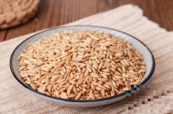 滑燕麦米和燕麦米的区别 燕麦米的功效与作用