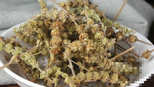 荆芥穗碳的功效与作用