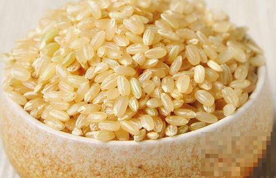 糙米的功效与作用 吃糙米的好处有哪些