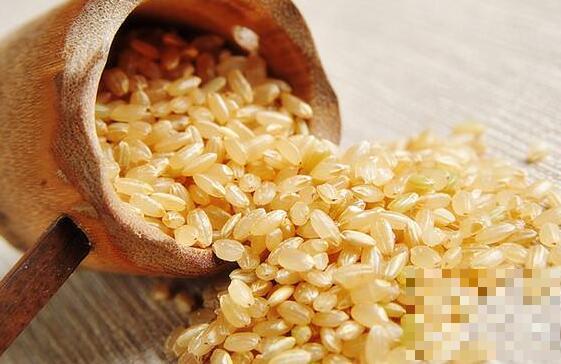 糙米的功效与作用 吃糙米的好处有哪些