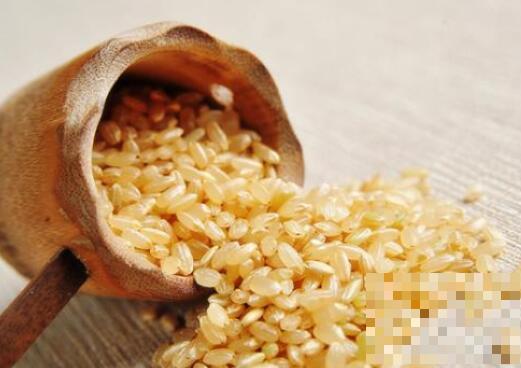 糙米怎么吃最好 糙米的食用方法大全