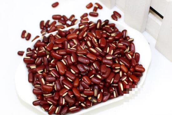赤小豆和红豆的区别 赤小豆的功效与作用