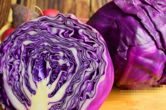 紫色包心菜的功效与作用 吃紫色包心菜的好处有哪些