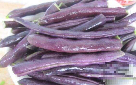 熟的紫芸豆怎么吃 紫芸豆怎么做好吃