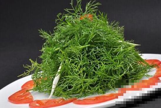 小茴香菜腌制保存方法 告诉你小茴香菜如何腌制好吃