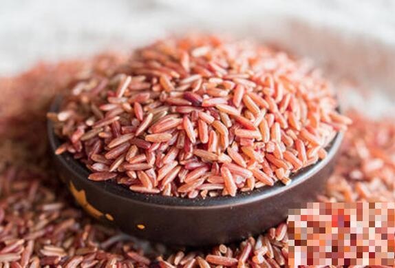 红糙米的功效与作用及禁忌