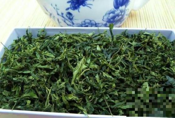 酸枣芽茶的功效与副作用