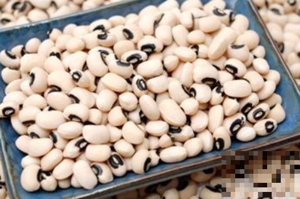 鹅眉豆的功效与作用 鹅眉豆的营养价值