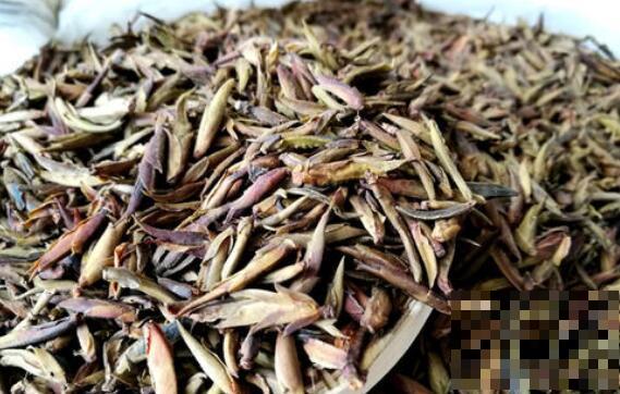 芽孢茶的功效与作用 芽孢茶属于什么茶