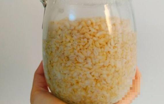 糙米酒怎么吃 糙米酒的食用方法