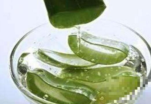芦荟汁的功效与作用 芦荟汁的副作用