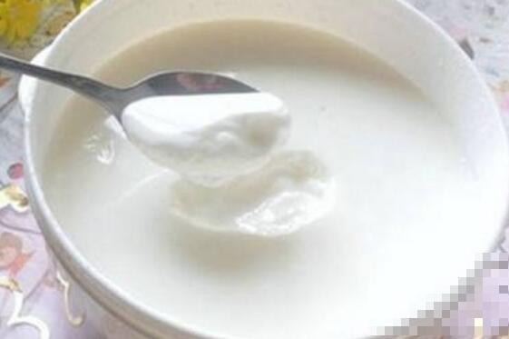 酸奶中的蛋白质的功效与作用