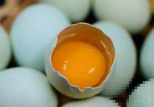 乌鸡蛋对女性的好处 乌鸡蛋不适合什么人吃