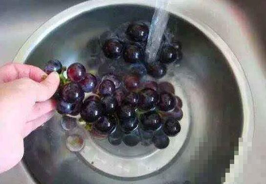 怎么洗葡萄最干净 正确清洗葡萄的方法