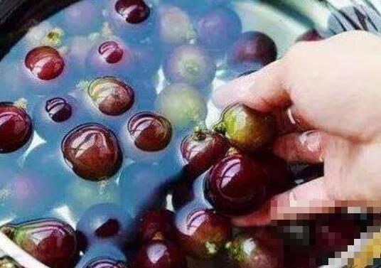 怎么洗葡萄最干净 正确清洗葡萄的方法