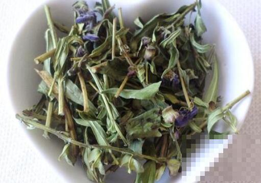 黄芩叶茶的制作方法 黄芩叶茶的功效