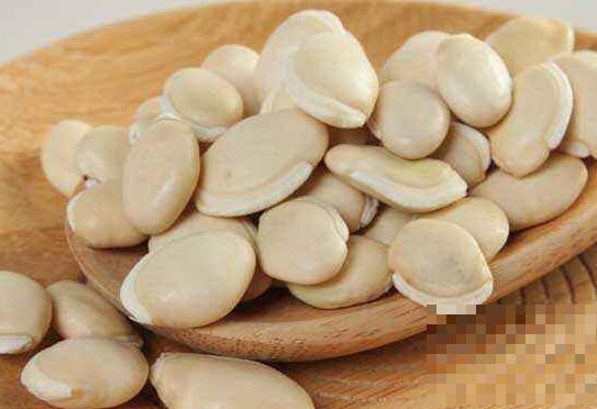 白扁豆的功效与作用与禁忌