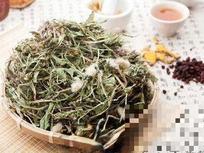 寒性体质如何用蒲公英 蒲公何英跟什么配不寒