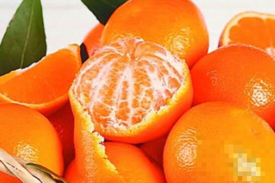 橘子和桔子有什么区别