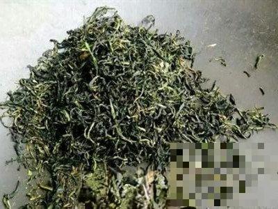 蒲公英茶哪些人不宜喝 蒲公英茶的副作用