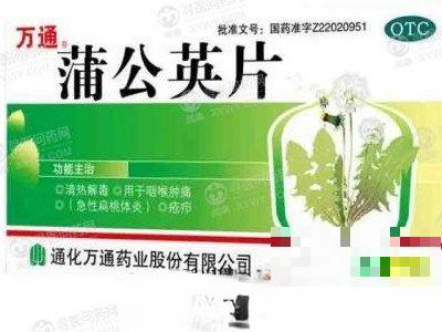 蒲公英片怎么吃 蒲公英片的吃法大全