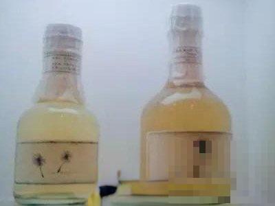 蒲公英酒如何做 蒲公英酒的制作方法