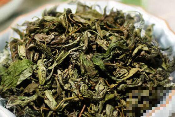 喝丁香茶有什么好处 喝丁香茶的坏处