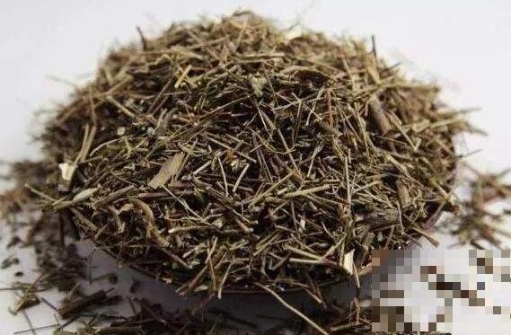 香薷泡茶有什么功效 香薷茶的功效与作用